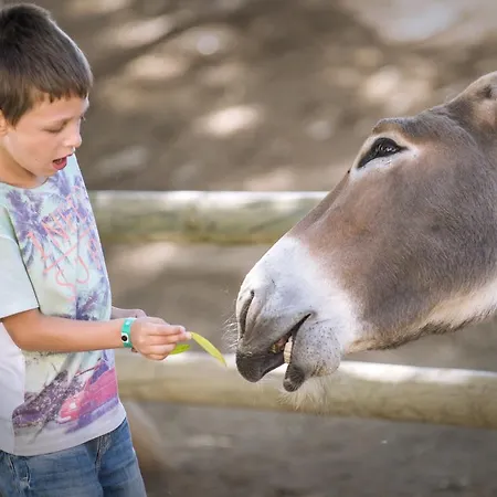 Szálloda Vilar Rural De 3*