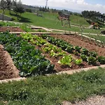 Hotel Vilar Rural De 3*